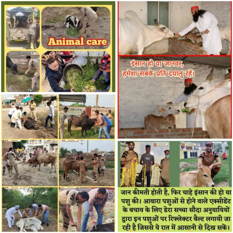 Feed Every Creature with Roti