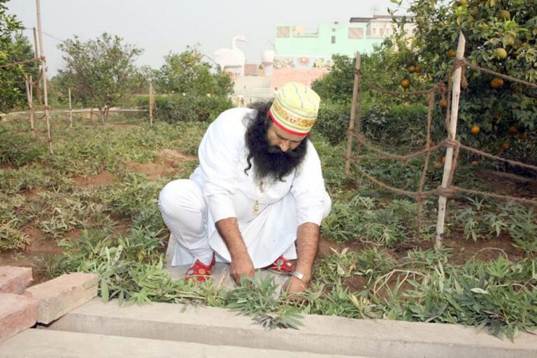 Desert Land Turned Agricultural