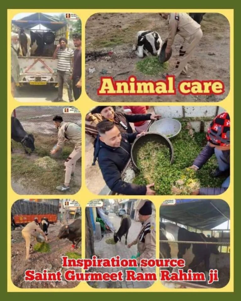 Animal Care