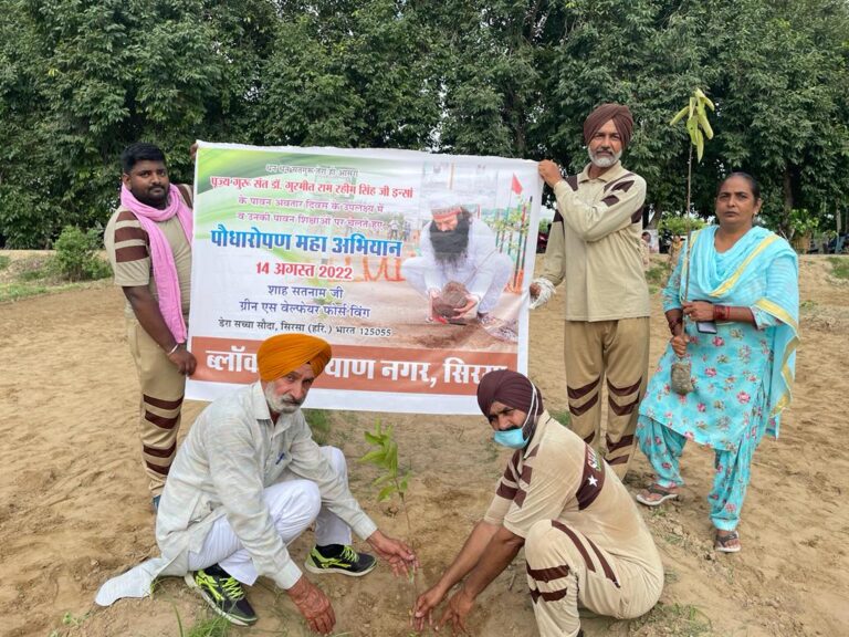 Boundary Tree Planting