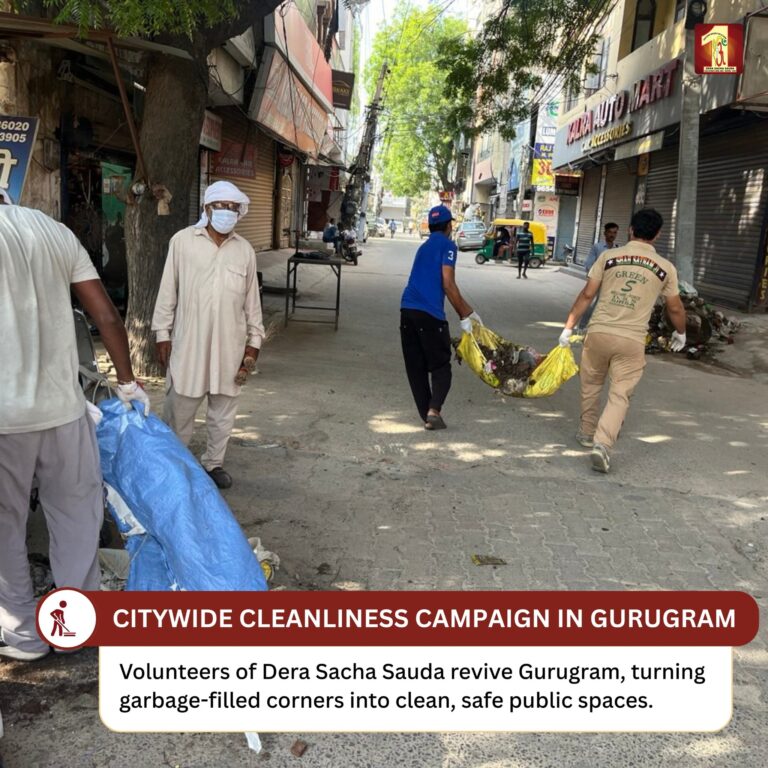 Clears Road Obstacles