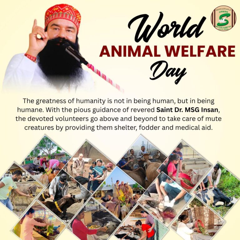 Animal Protection