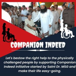 Companion Indeed Friendship