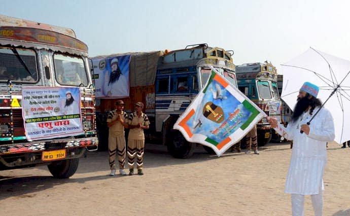 Relief Material